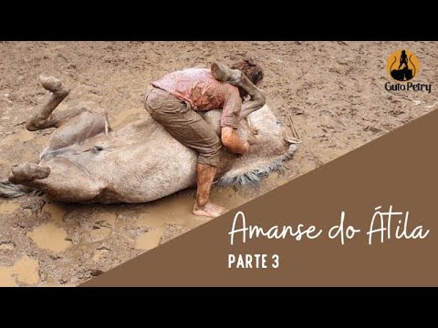 Amanse do Átila - Doma Índia com Guto Petry Parte 3
