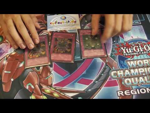 Adrian Dursun - WCQ Regional Dreieich 1st Place [214 Players] Pure Zoo - without Ratpier! (GER)