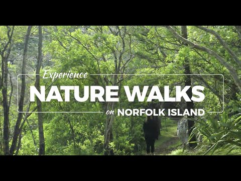 Norfolk Island Nature Walks