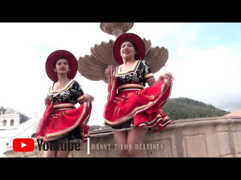 LOS DELFINES DEL AMOR - SALAY 2019 EL IDIOTA ( video oficial )