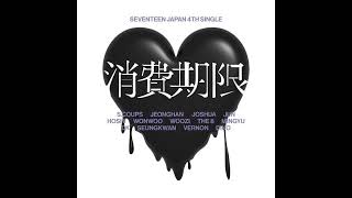 Download lagu SEVENTEEN: Shohikigen mp3 Download lagu SEVENTEEN: Shohikigen mp3