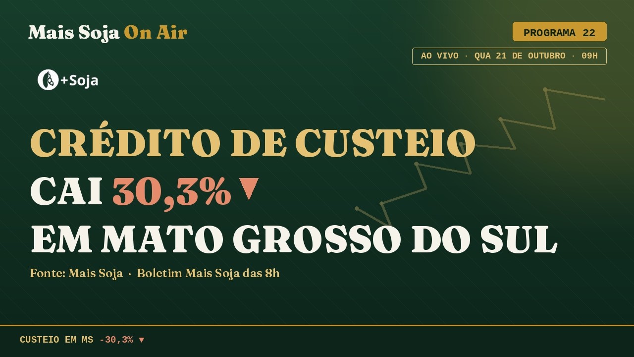 Milho cai em Chicago | Chuvas afetam o trigo  | MAIS SOJA ON AIR