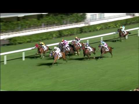 Magnetism - Karis Teetan (24 May)