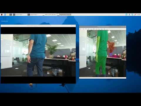 Raspberry Pi AI Kit | Subject segmentation: one is an engineer, the other is a desk plant