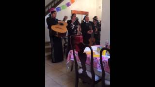 Mariachi Damas de Jalisco - Y Volvere