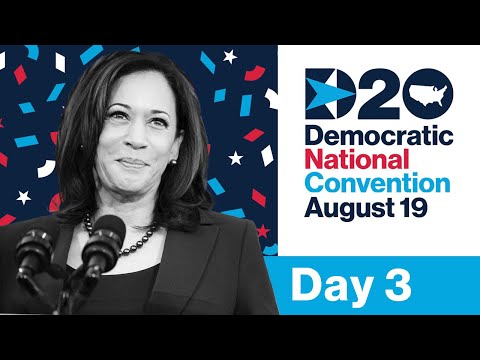 Democratic National Committee (DNC) | Vibepedia