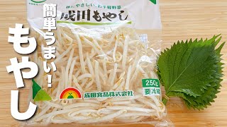 【もやしの簡単レシピ】大葉と混ぜるだけ！驚くほどうまい。