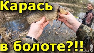 Как поймать карася на болоте в мае