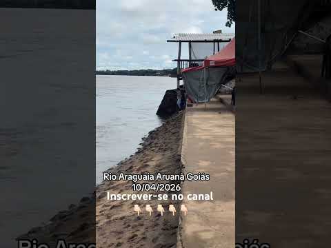 Rio Araguaia Aruanã Goiás #pescaria #youtubeshorts #pesca #peixesamazonicos #fishing #tambaqui