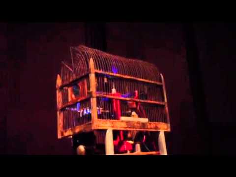 Faraday cage ＋ Satoru Ono - 1 〜 John Cage 