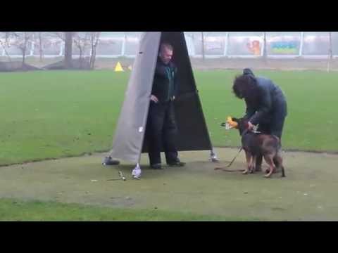 Coenstadt 2014 12 20