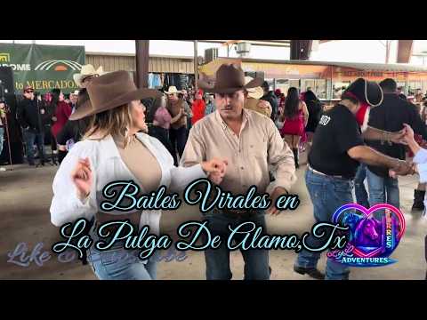 Los Bailes mas Virales de La Pulga DE Alamo Texas