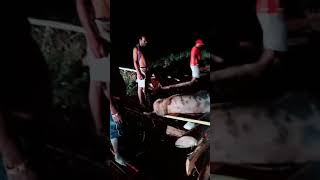 Download lagu bakar babi hutan ramai ramai #shorts mp3 Download lagu bakar babi hutan ramai ramai #shorts mp3