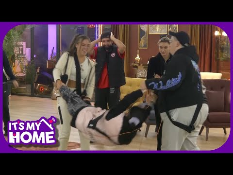 Shkurta e Albiosi e fluturojne Krine