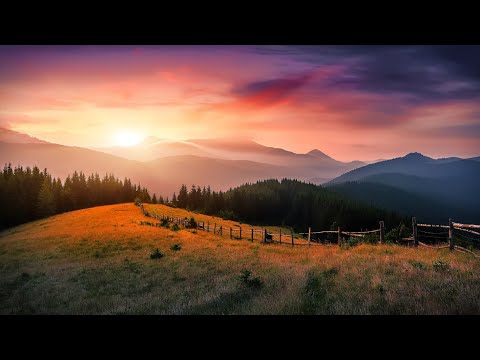 Liquid Drum and Bass Mix 342 - Guest Mix: Motiv