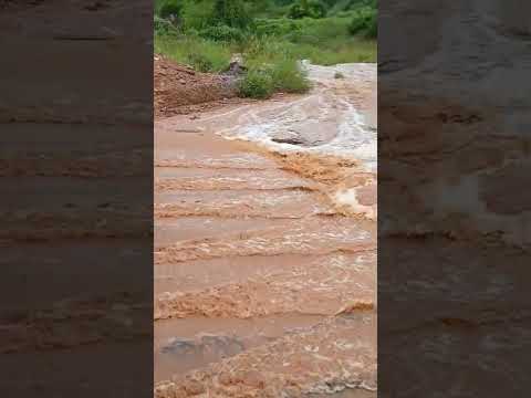 Em Coronel  José  Dias.