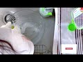 ASMR Motivation For Washing Dishes ASMR Washing Dishes No Talking With Water Sounds