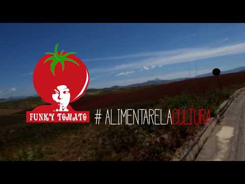 Funky Tomato spot 2017