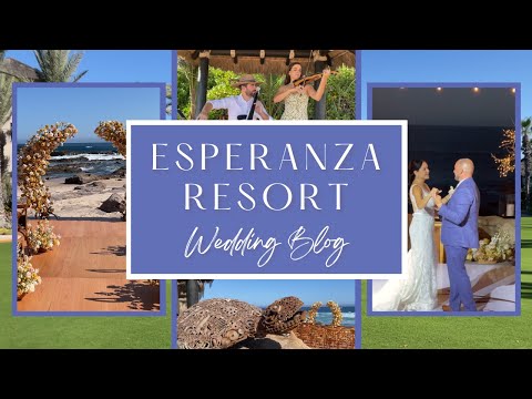 Wedding Vlog at Hotel Esperanza Resort