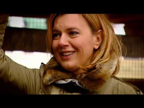 Gasztroangyal 11. rész – Tyúkok a Hungaroringen (2012)