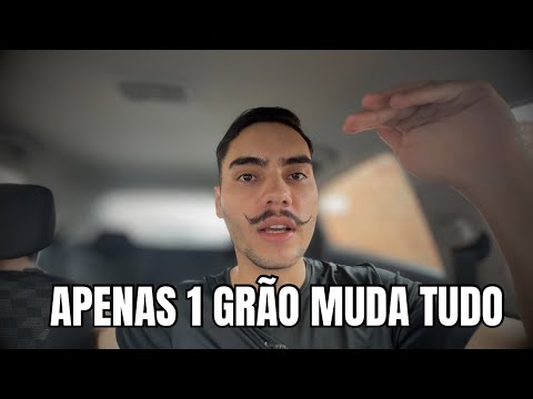 Investimentos e organização financeira: entenda a estratégia