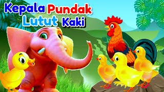 Download lagu Lagu Anak 🇲🇨 Kepala Pundak Lutut Kaki !! Animasi Ayam Bebek Gajah Dan Kucing mp3