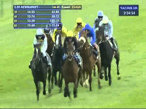 2012 Qatar Bloodstock Jockey Club Stakes - Al Kazeem