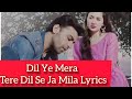 Dil Ye Mera Tere Dil Se Ja Mila Hai Lyrics Mere Humsafar Female Version