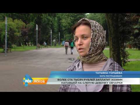 Новости Псков 03.07.2017 # Суд вынес вердикт по делу о нападении собаки в Павшино