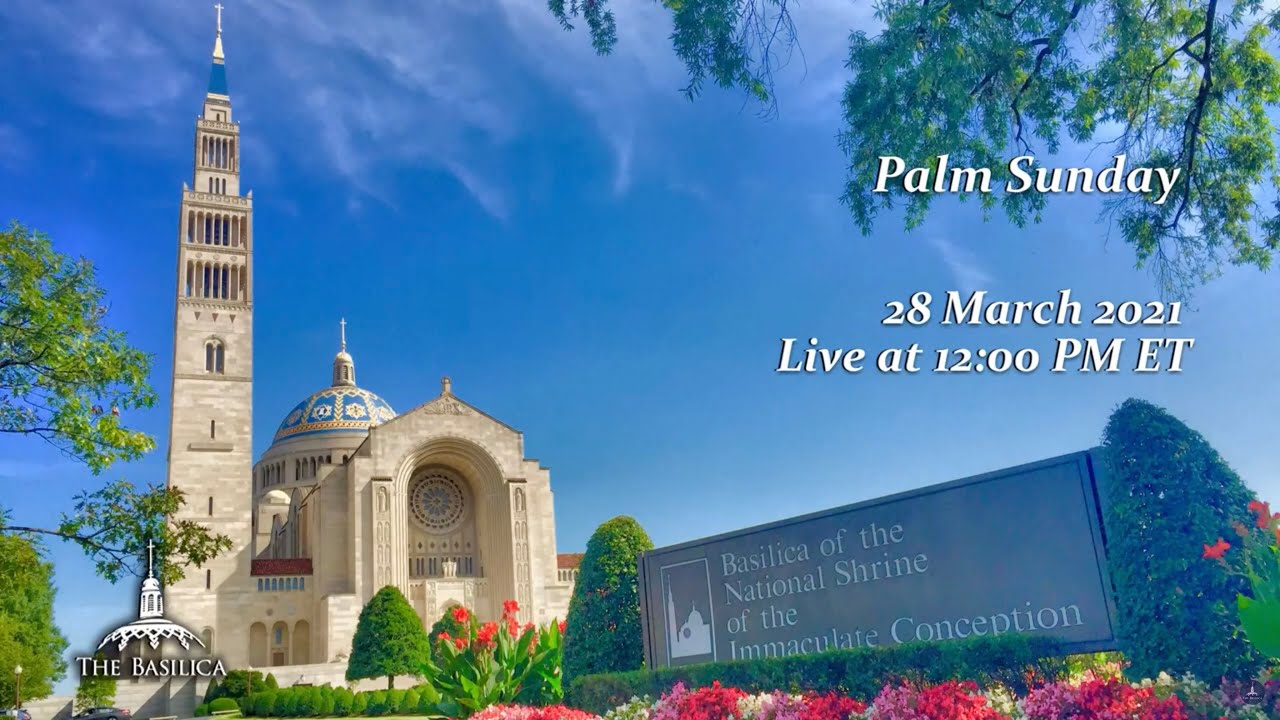 Palm Sunday of the Passion of the Lord 28 March 2021 - Basilica Sunday Mass Livestream Palm Sunday of the Passion of the Lord 28 March 2021 – Basilica Sunday Mass Livestream