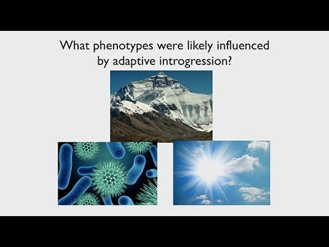 CARTA: Ancient DNA and Human Evolution – Joshua Akey: Neandertal Genes in Present Day Humans