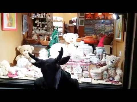 JELENKO Rudolf BAND- Rudi JElenček Rudolf