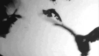 Puisque Tout Passé   - STOA