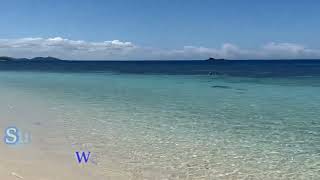 Summer Lovers / 弦巻マキ / リョウ
