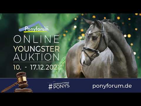 HLH CONAN 2j. Hengst v. Coke saint of the life / FS Don´t Worry