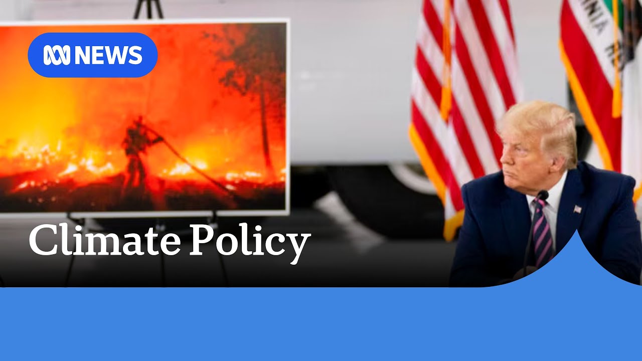 What does another Trump term mean for climate targets? | ABC News