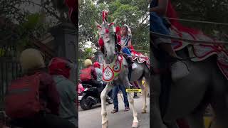 Download lagu Horse dancing to gamelan #shorts #kudarenggong #kudakencak mp3