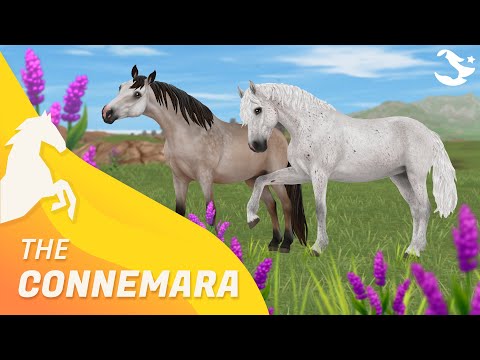 The UPDATED Connemara! ✨ | Star Stable Horses