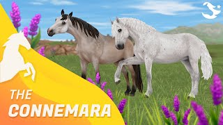 Star Stable The Updated Connemara ✨ | Star Stable Horses