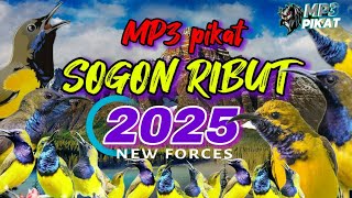 Download lagu suara MP3 pikat sogon‼️ terbaru anti zonnkkkk mp3