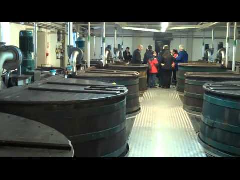 Distillery visit - Lagavulin