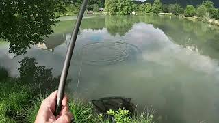 Daiwa black widow tele feeder 360