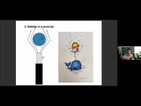 László Székelyhidi – Convex intergration for fluid dynamics