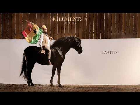 📀 ILEMENTS - As It Is [Full Album]