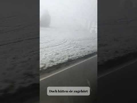 Rhialen - Der Gott der Fliegen