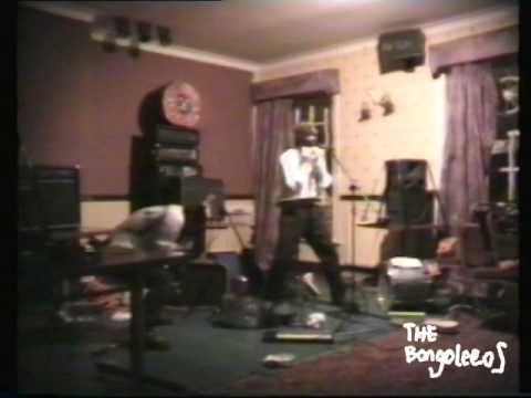 The Bongoleeros - Live in Newcastle