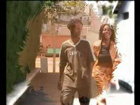 Terakaly Spons nakahy