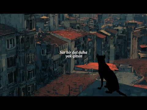 Can Bonomo - Sar (Sözleri)