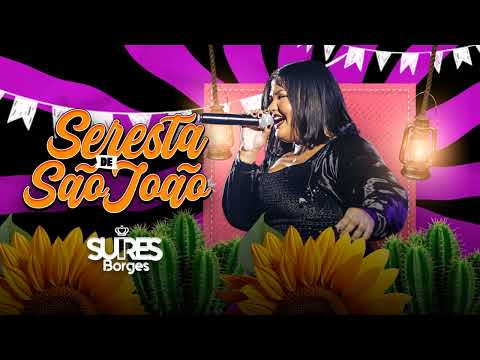 SUIRES BORGES - LEI DO RETORNO