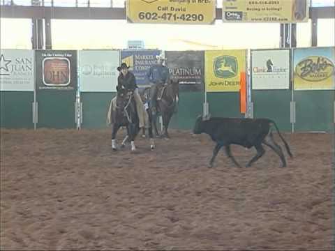 SOULA JULE GIRL-NRCHA 2011 DERBY AMATEUR CHAMPION-HERD